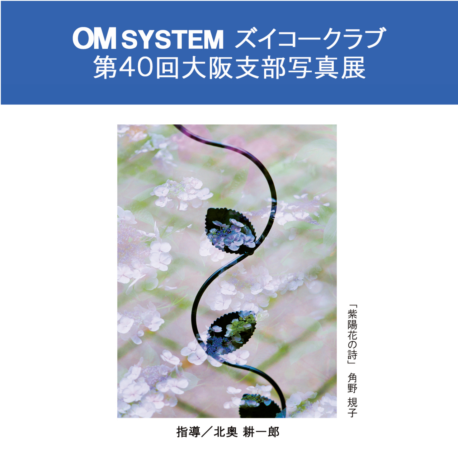 Qooセット　合計７枚の写真が全貌です Qooセット 合計7枚の写真が全貌です