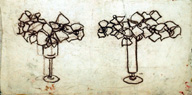 蘭D