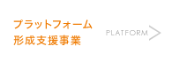 プラットフォーム形成支援事業