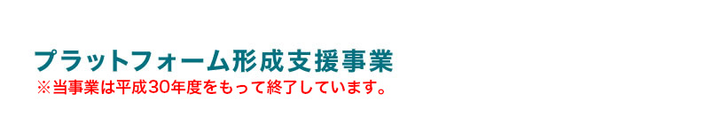 プラットフォーム形成支援事業